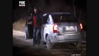 عمرگل لاله لیپوست
