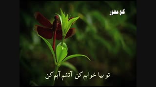 اواز لیلا نجفی البوم رمیده دل