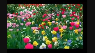 ڕاوچی(صیاد - شکارچی) Rawchi=Jamal Nasimi