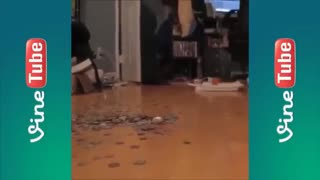 تردستی های جالب زک کینگ 1