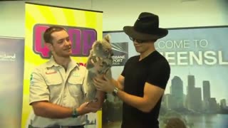 Rain in Queensland Tourism Marketing Welcoming 19.11.2015