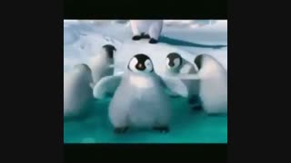 یه سوال از برنامهProShow Gold