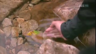 سکانس16 ایمان