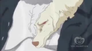 کلیپ وان پیس