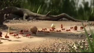 سفر گروهی عاقلانه تر است it's smarter to travel in groups