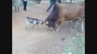 من و مشکلات زندگی ام