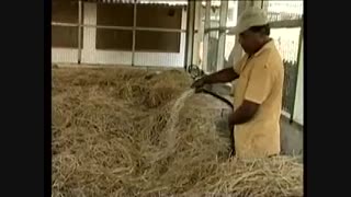 فیلم آموزش مراحل پرورش قارچ دکمه ای و تولید کمپوست----------------(کوثرپردازwww.kowsarpardaz.com)