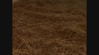 لوازم و ملزومات پرورش قارچ----------------(کوثرپردازwww.kowsarpardaz.com)