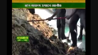 راهنمای کشت قارچ دکمه ای----------------(کوثرپردازwww.kowsarpardaz.com)