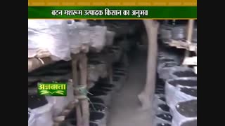 آشنایی با پرورش قارچ