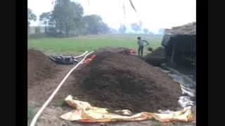 : آموزش پرورش قارچ خوراکی