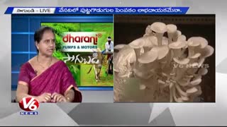 کــــشت و پرورش قـــــارچ صدفــــــــی----------------------(کوثرپردازwww.kowsarpardaz.com)