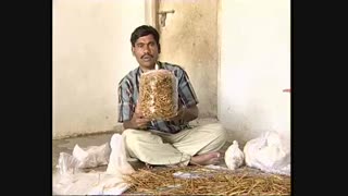 آموزش کشت قارچ خوراکی در منزل ---------------------- (کوثرپرداز www.kowsarpardaz.com)