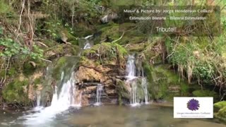 EMDR -  تحریک دوسویه مغز