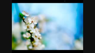 EMDR  حالت آرامش