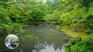 EMDR در طبیعت