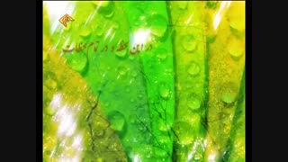 دعا سلامتی امام زمان (عج)