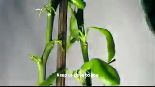 برای آرامش خوبه.