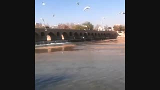 لحظاتی در کنار زاینده‌رود