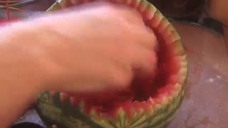 هندوانه شب یلدا ، خارپشت
