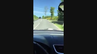 هوادار ایرانی مقیم دانمارک در حال گوش دادن آهنگ چی تو گوشت خوندن یوسف زمانی