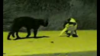 دعوای سبزواری