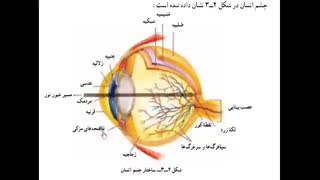 تدریس ساختمان چشم