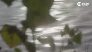 دانلود موزیک ویدیوی please contact me با بازی یونا