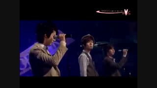 SS501 5-year Flashback - Live Mix - Because I'm Stupid