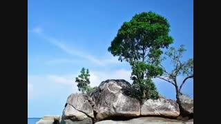 دو نیمه رویا...علی ساقی-اهنگ افغانی -انجمن تخصصی آرا