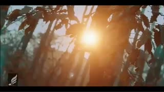 بگو نه ! با صدای حامد زمانی