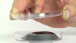 043- فرو فلوئید (مایعی با خواص مغناطیسی)