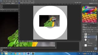 آموزش فتوشاپ  طراحی سی دی