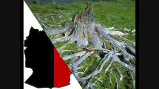 کلیپ افغانی (من و نفسم ) ۴۵۳