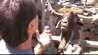 ببینی پخش میشی از خنده