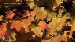 دکلمه شعر یغما گلرویی  با صدای امیرحسین مهمانلی،دو قدم مانده که پاییز به یغما برود