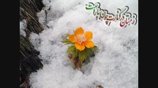 عیدتون مبارک (♥‿♥)