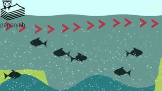 پدیده ال نینو