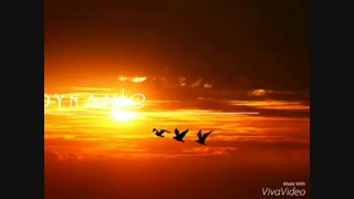 بچه ها خواهشا هرکسی کلیپ رقص مخصوصا دونفره هماهنگ داره بگه