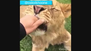 ووییییی ماشالله چه جریتی داره!!!