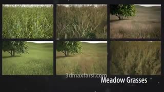 آموزش کار با لایبراری های پلاگین Forest Pack  pro Library