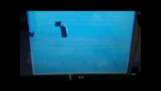 امید شیخ اسماعیلی