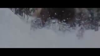 جنگ ولتوری ها با کالنز ها(4)