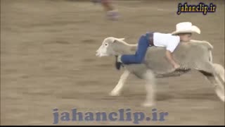 گوسفند سواری کوچولوها