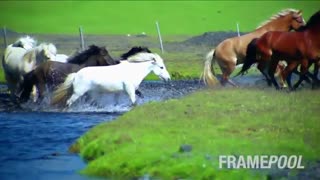 تصاویری زیبا از فصل بهار