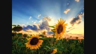 ریل و راه : اثر زری مینویی