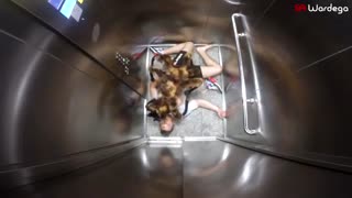 وحشت مردم از سگ عنکبوتی!