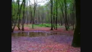 نام نام اوست