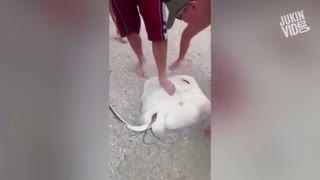 گزیده بهترین ویدیوهای ماه