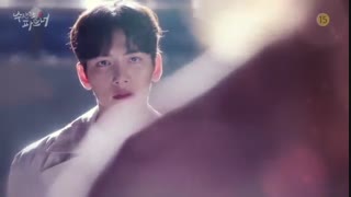 سریال کره ای شریک مشکوک Suspicious Partner